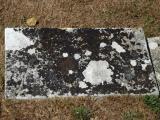 image of grave number 735966